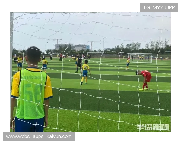 梅州降级对当地青少年足球参与率的影响研究