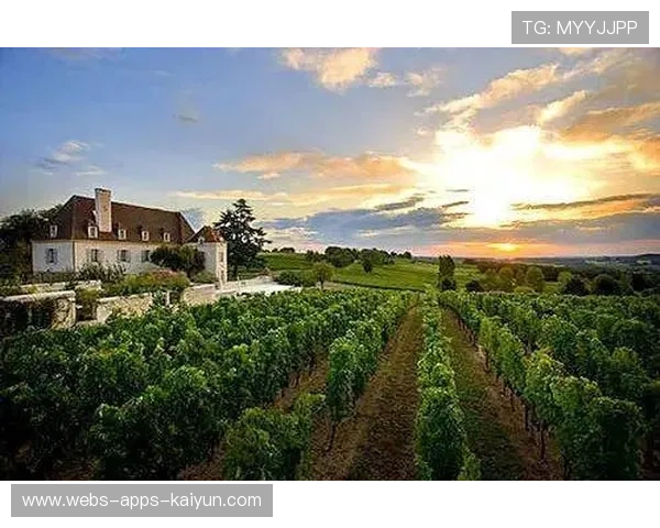波尔多拟与国际机构合作提升训练营管理标准 波尔多拟与国际机构合作提升训练营管理标准